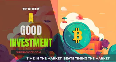 Bitcoin: A Smart Investment Choice for the Future