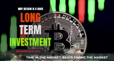 Bitcoin: A Long-Term Investment Worth Your Money