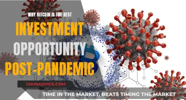 Post-Pandemic: Bitcoin's Best Investment Opportunities