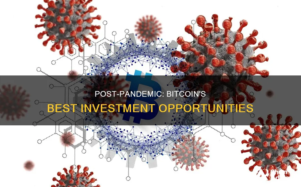 why bitcoin is the best investment opportunity post-pandemic