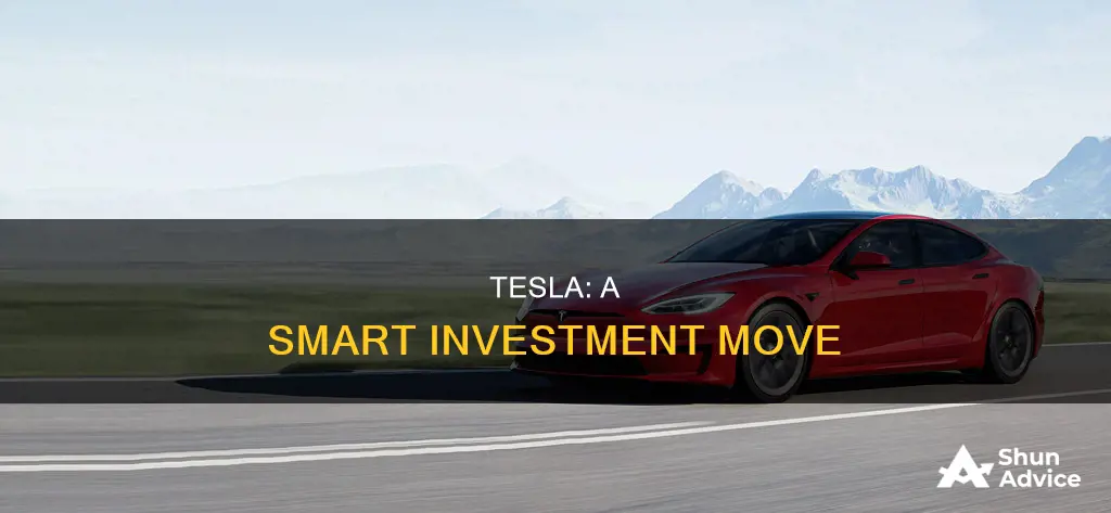 why buying a tesla is an investment