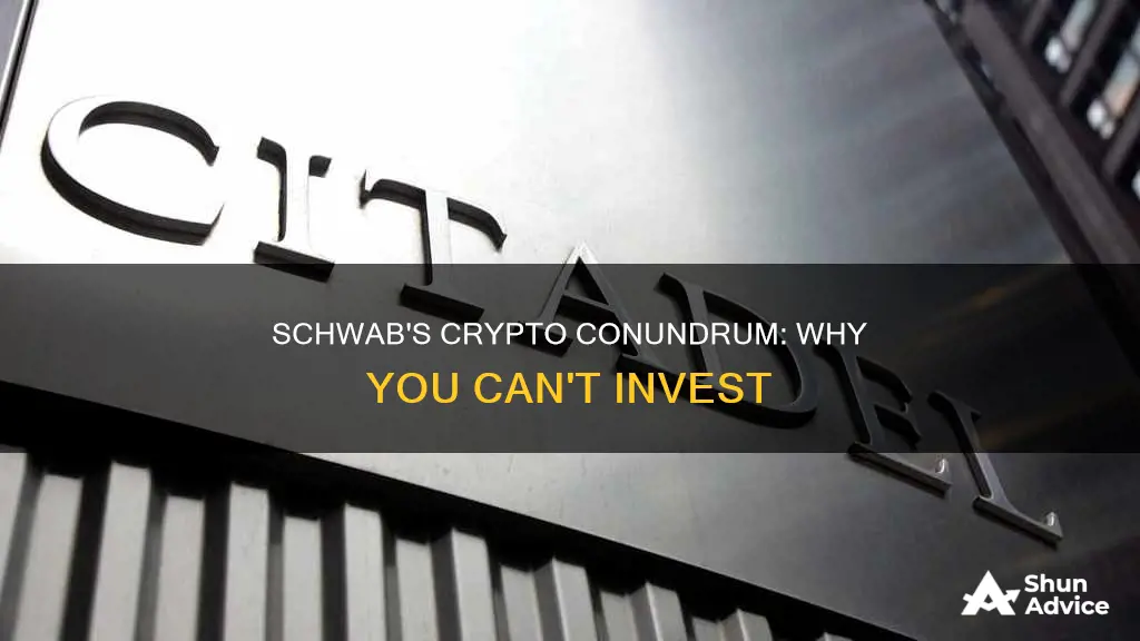 why cant I invest in cryptocurrency at schwab