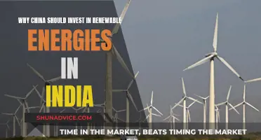 China's Green Investment: India's Renewable Future