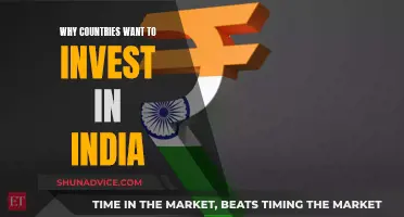 India's Investment Appeal: Why Countries Want a Piece