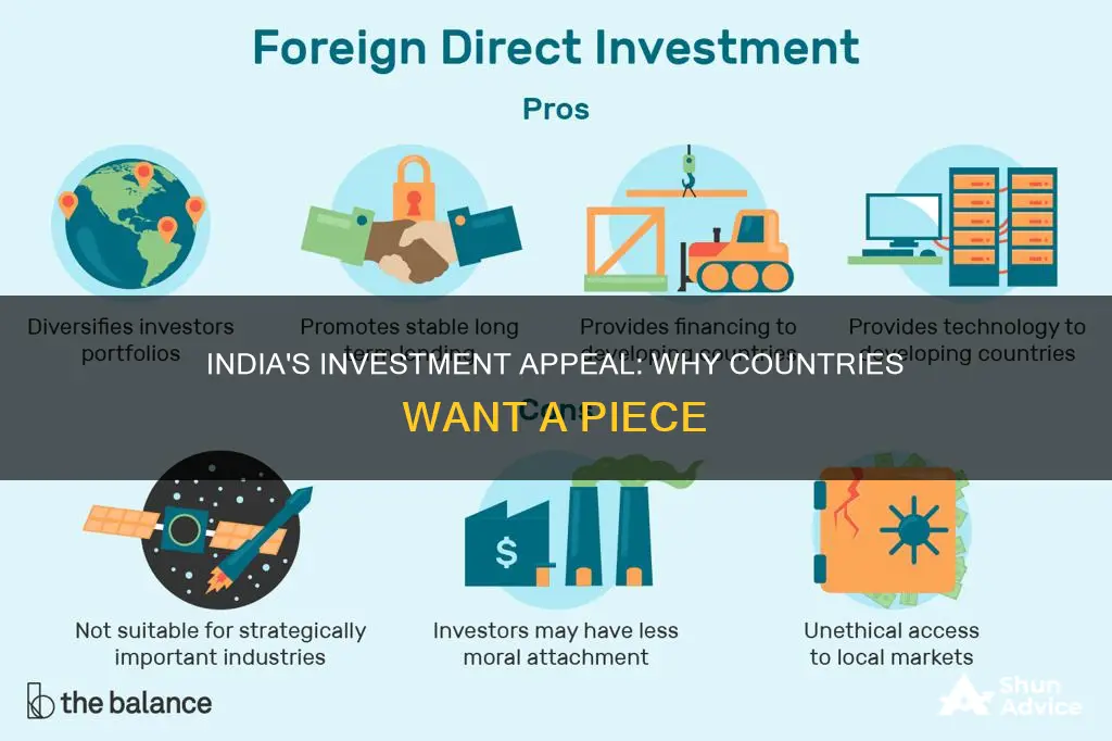 why countries want to invest in india