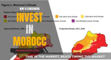 Morocco's Allure: Why Foreign Investors Are Drawn to the Kingdom