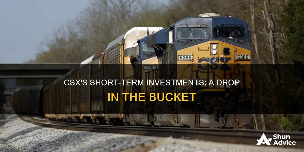 why did csx short term investments drop