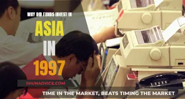 Asia's 1997 Financial Crisis: Why Foreign Investment Poured In