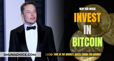 Musk's Bitcoin Bet: Why He Invested