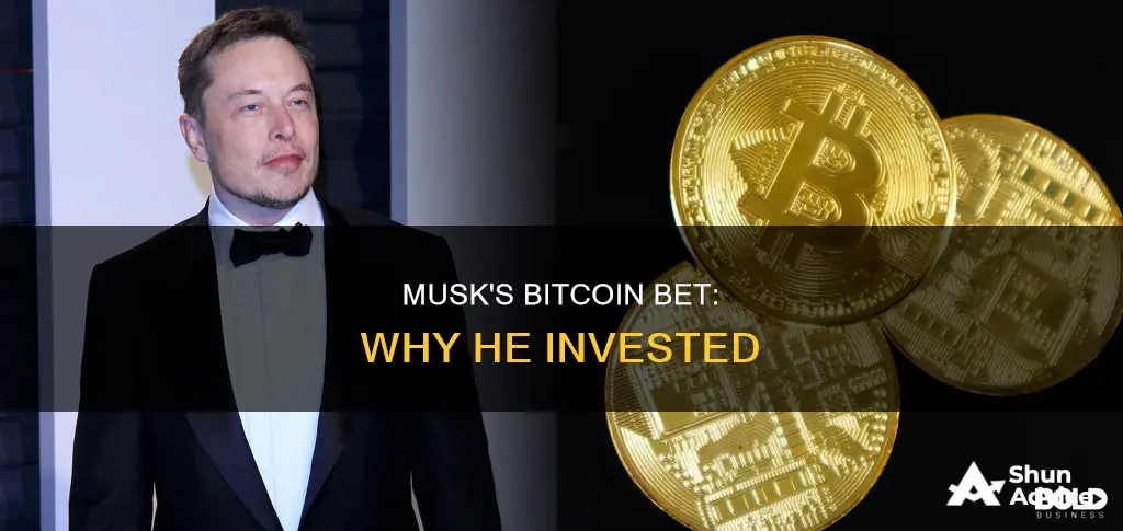 why did musk invest in bitcoin