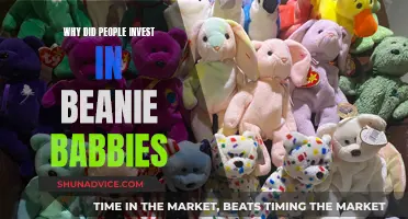 Beanie Babies: A Collectible Craze