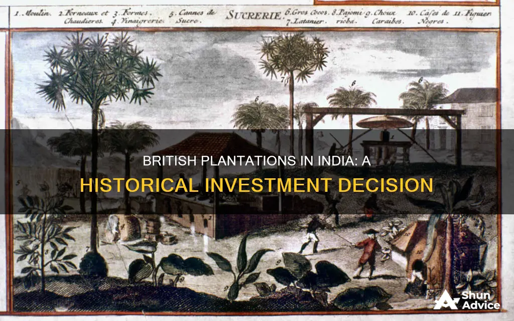 why did the british invest in plantations in india