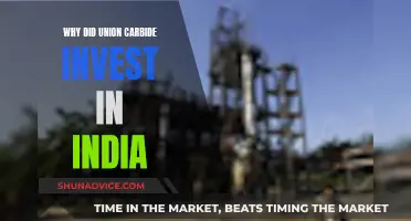 Union Carbide's Indian Investment: Why India?