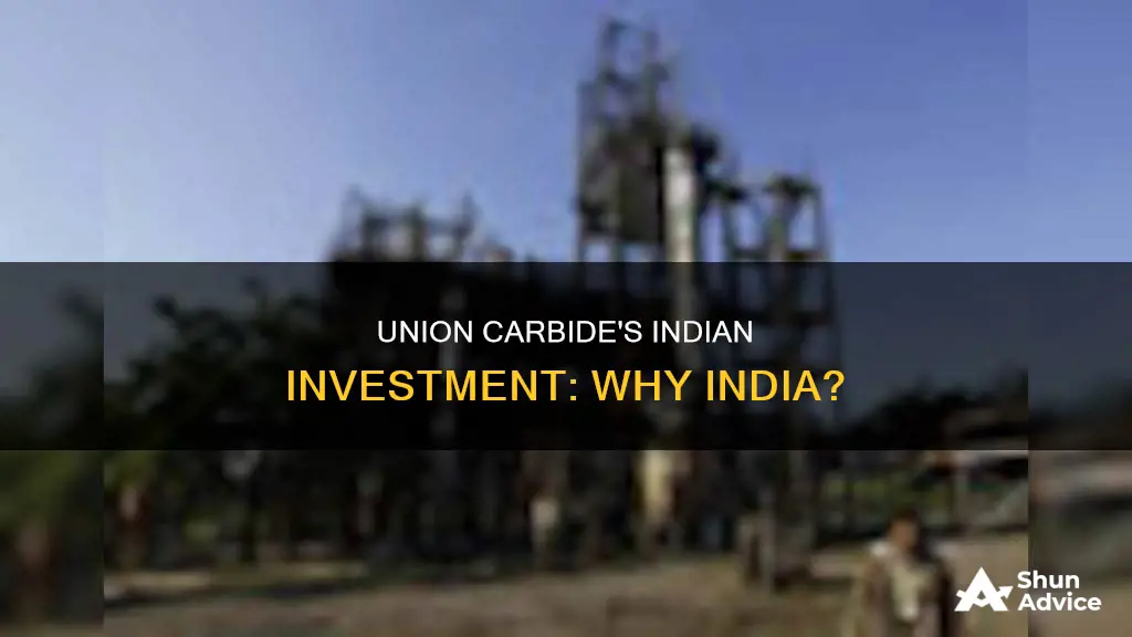 why did union carbide invest in india