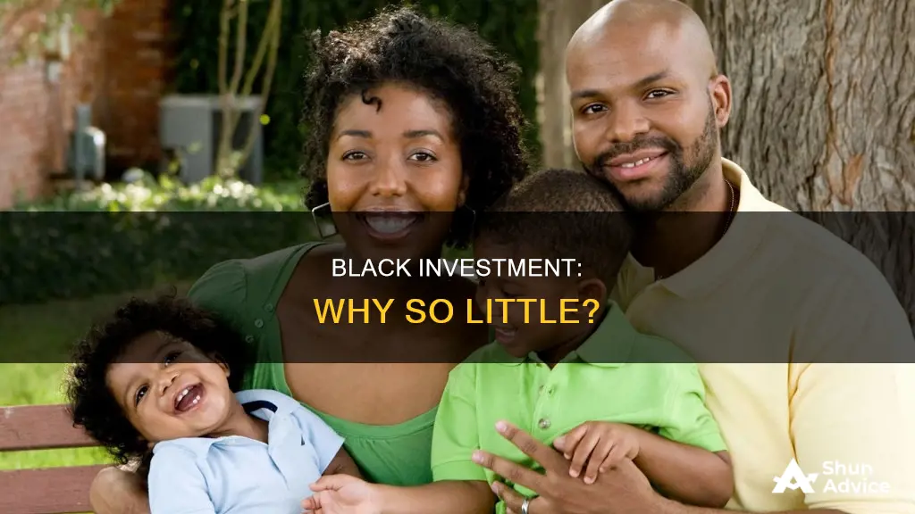 why do blackk people invest less