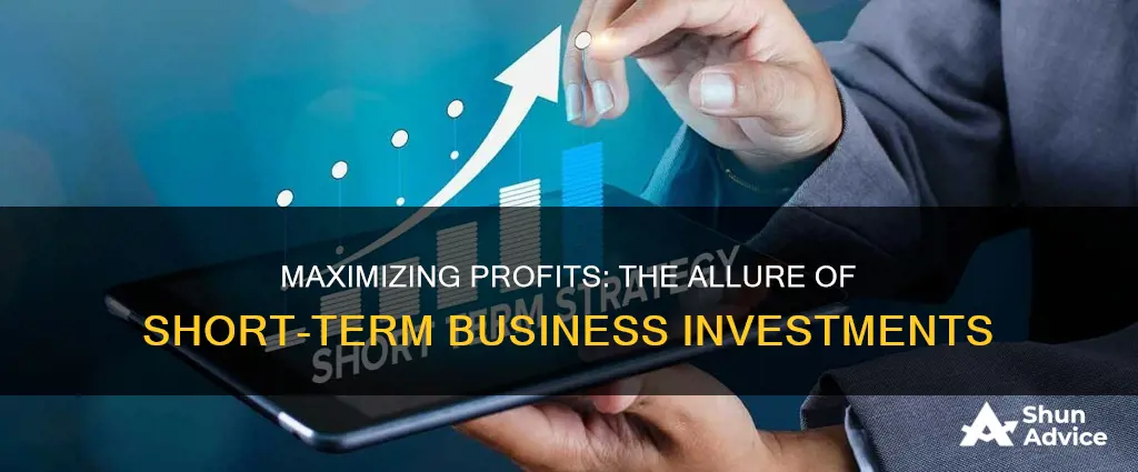 why do businesses invest in short term investments