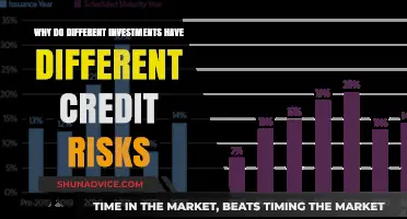 Understanding Credit Risk: Why Investment Choices Matter