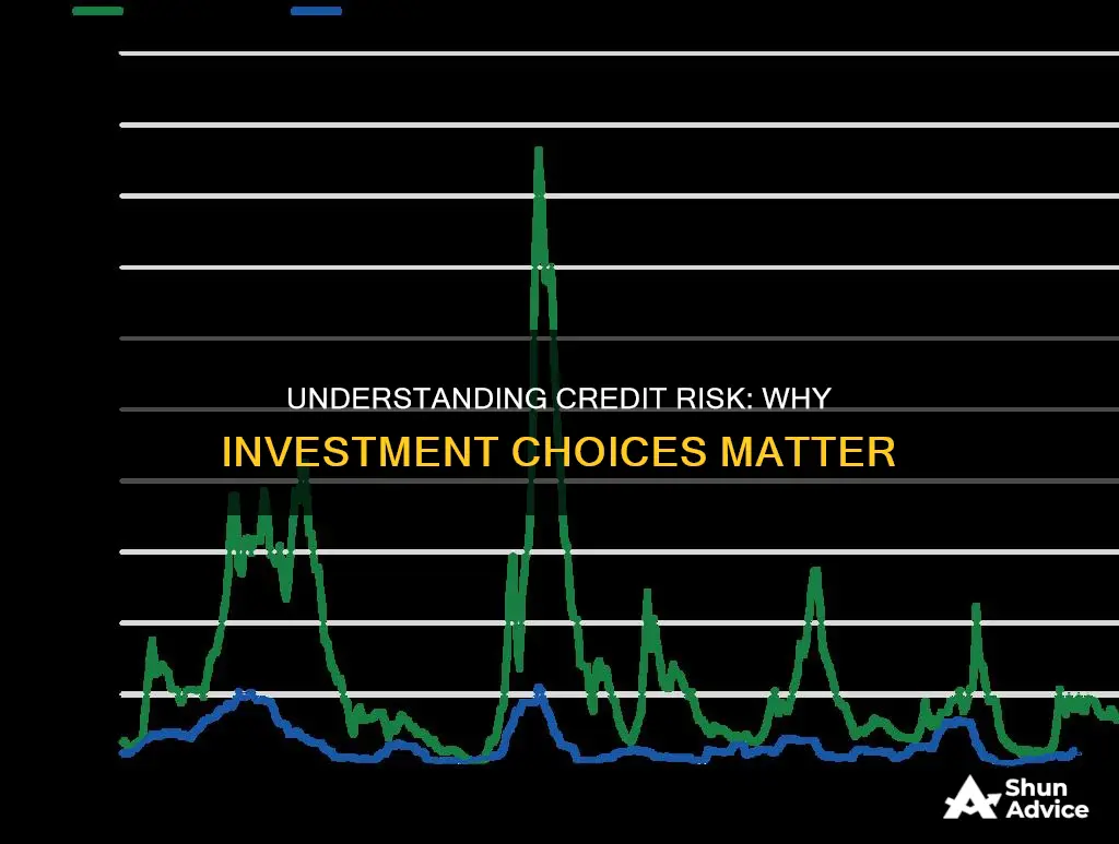 why do different investments have different credit risks