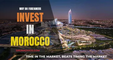 Morocco's Alluring Investment Appeal: Unlocking Foreign Capital