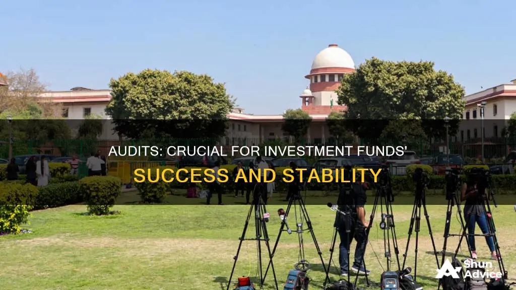 why do investment funds need more audits