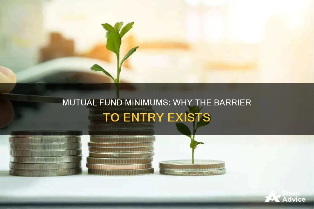 why do mutual funds have a minimum investment