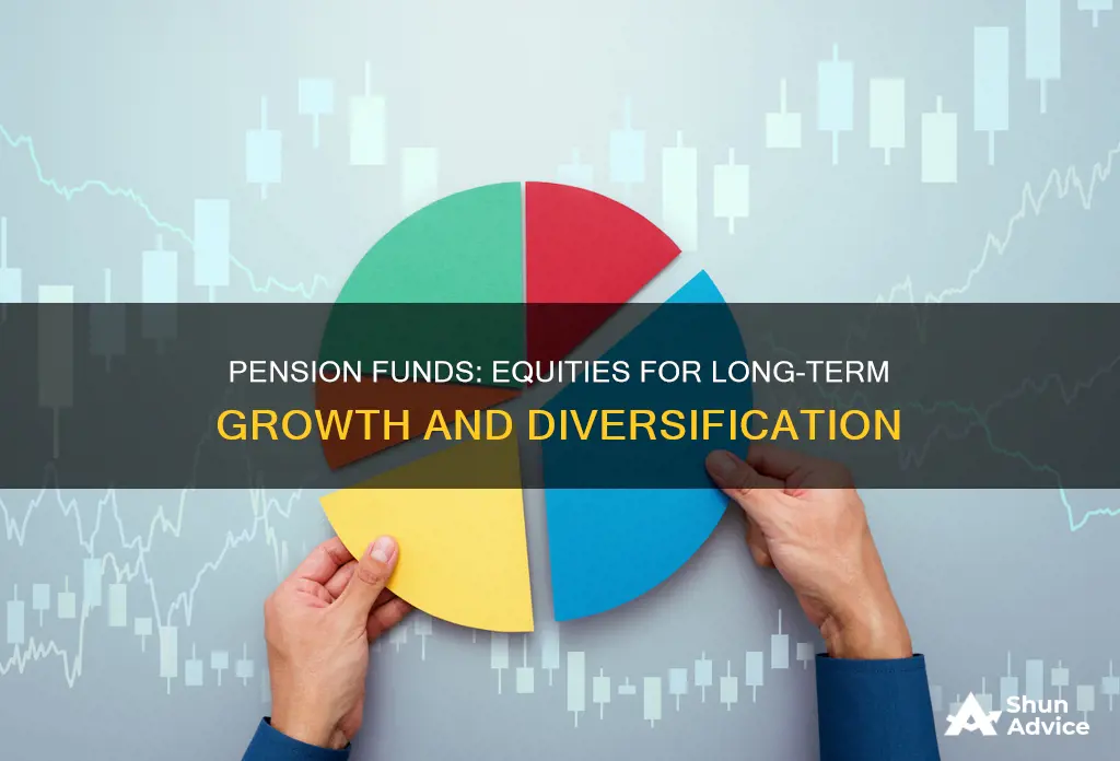 why do pension funds invest in equities