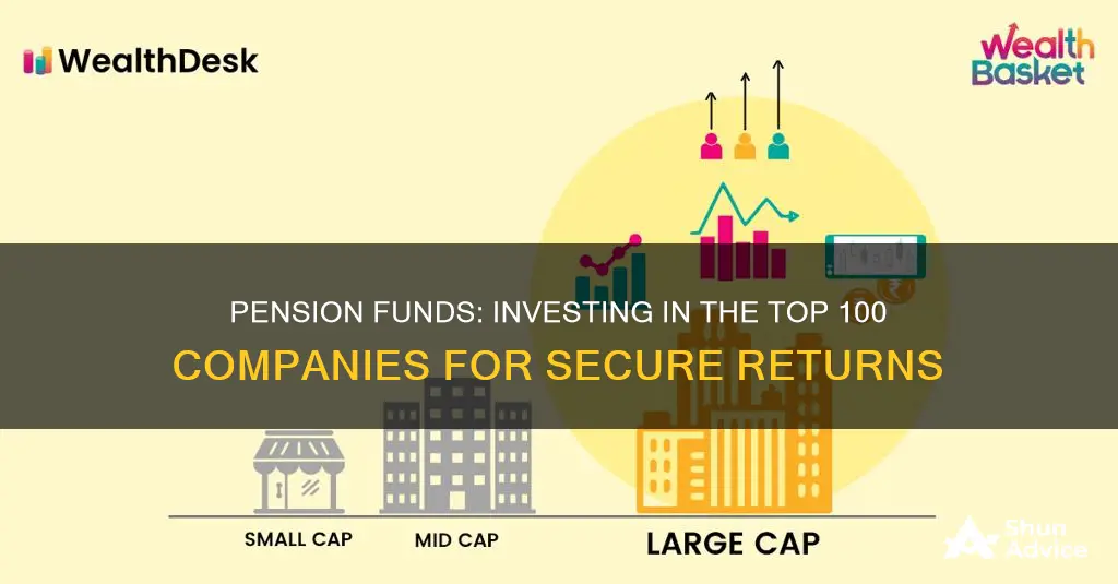 why do pension funds invest in the top 100 companies