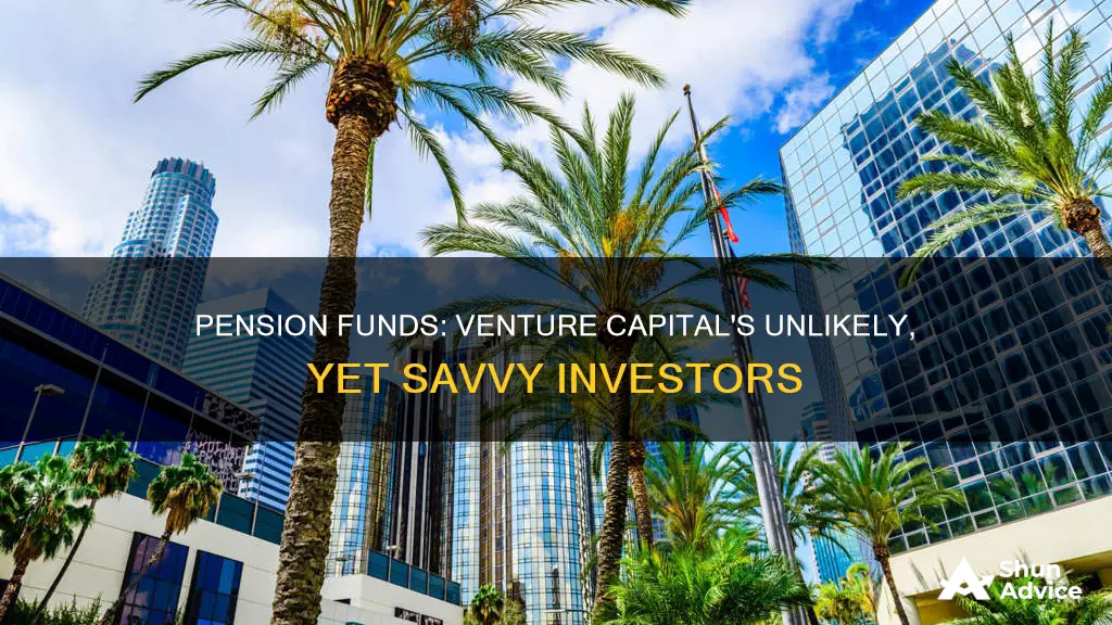 why do pension funds invest in venture capital