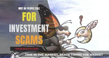 Investment Scams: Why the Fall?