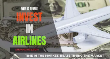 Airline Investment: Profits Take Flight