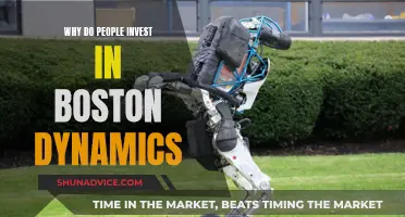 Boston Dynamics: The Future of Robotics