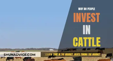 Cattle: A Smart Investment