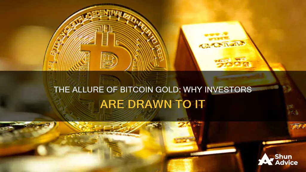 why do people invest in coins like bitcoin gold