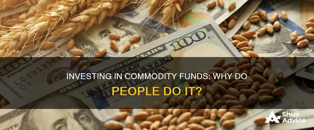 why do people invest in commodity funds