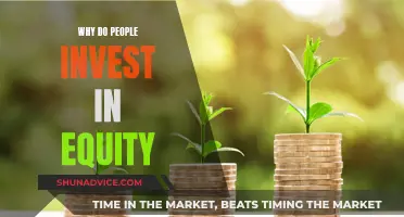 Equity Investment: Why Take the Risk?