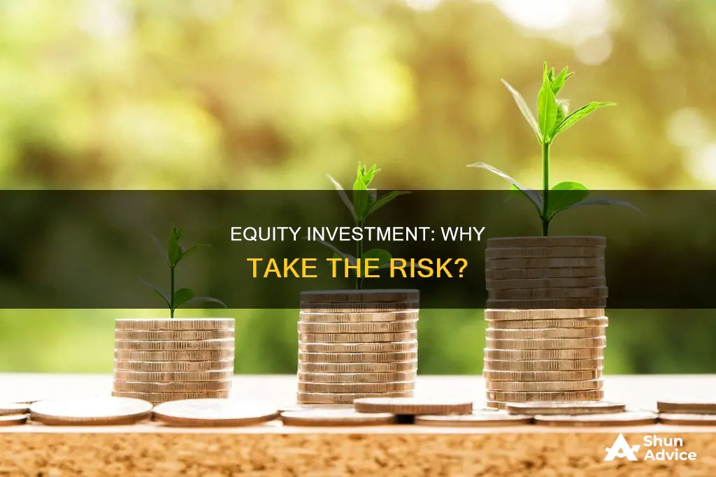 why do people invest in equity