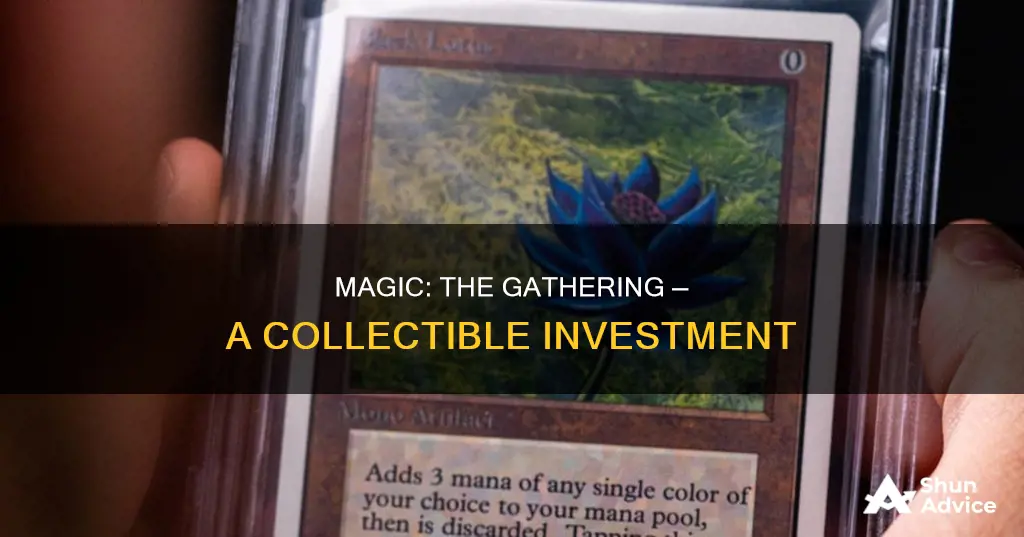 why do people invest in magic the gathering