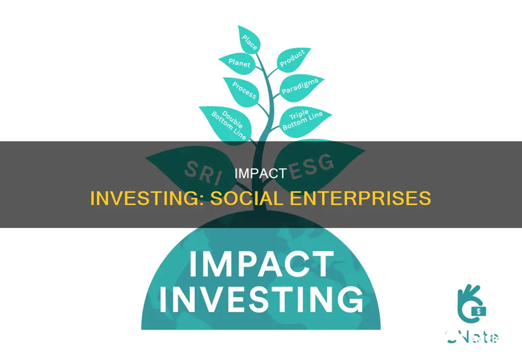 why do people invest in social enterprises