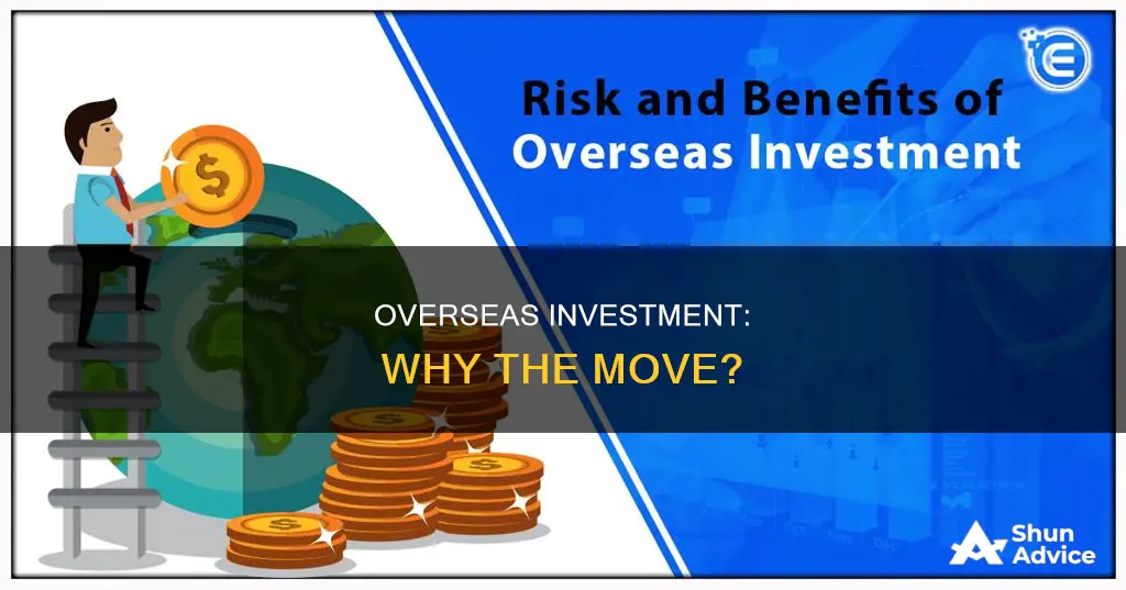 why do people invest overseas