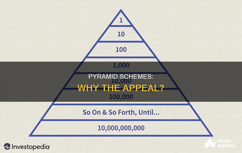 why do stupid people invest in pyramids