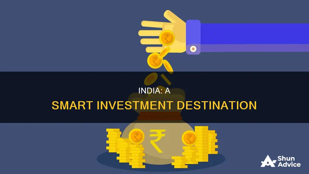 why do we invest in india