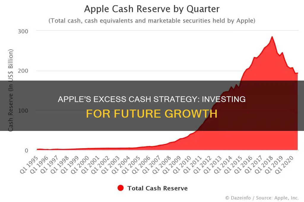 why does apple invest excess cash