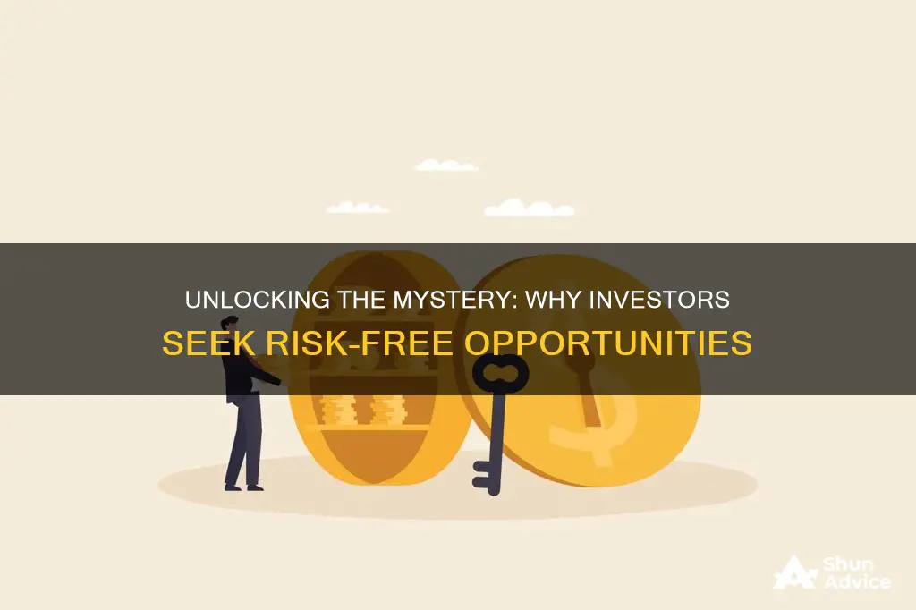 why does investor invests in risk free