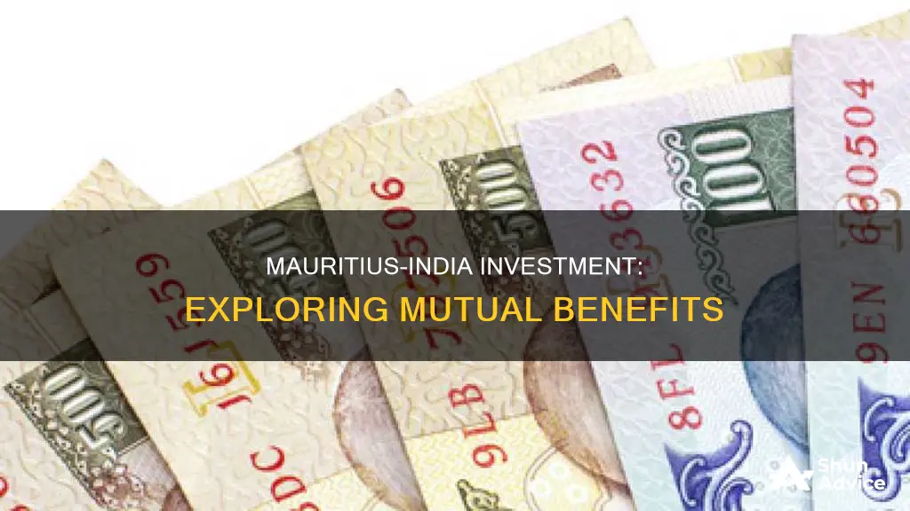 why does mauritius invest in india