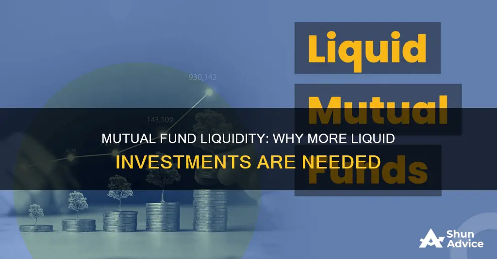 why does mutual fund require more liquid investment