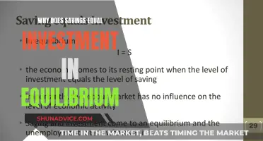 Equilibrium Economics: Savings-Investment Identity