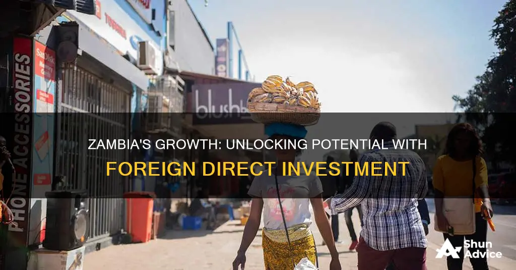 why does zambia need foreign direct investment