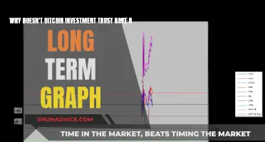 The Bitcoin Investment Trust: A Short-Term Focus