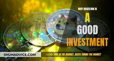 Dogecoin: A Smart Investment Choice for the Future