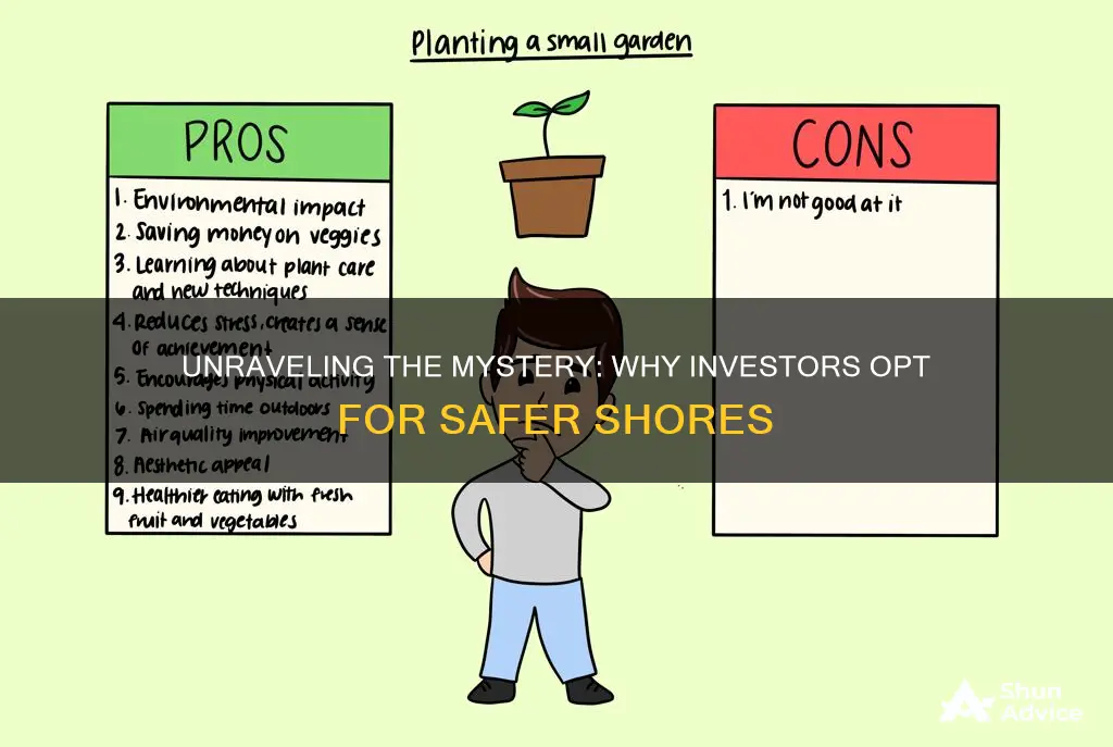 why dont investors use high risk investments